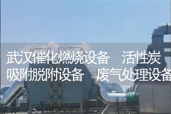 武汉催化燃烧设备 活性炭吸附脱附设备 废气处理设备